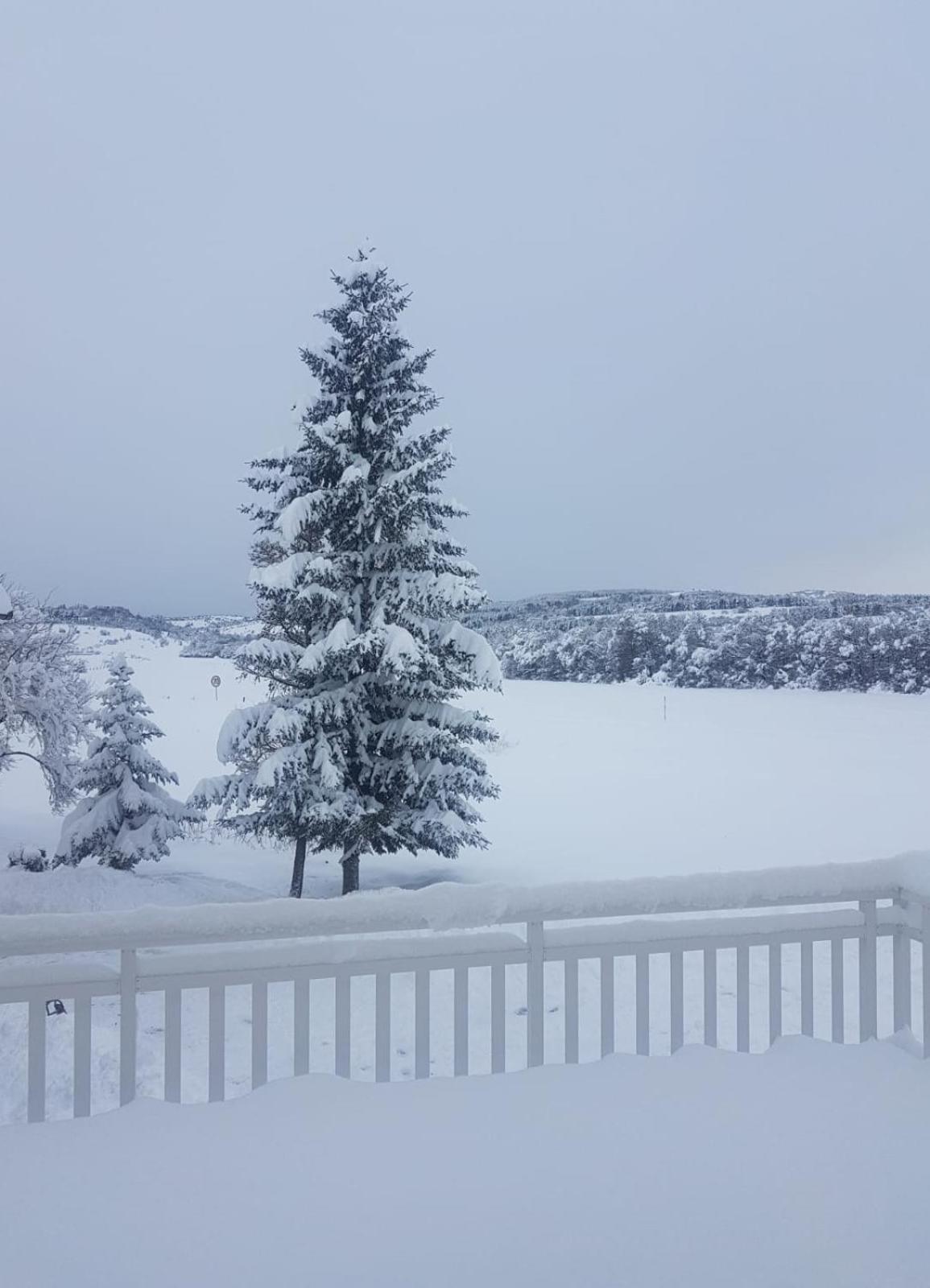 Apartman Potok Livno Exteriér fotografie
